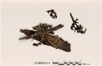 藏品(袋梅衣)的圖片